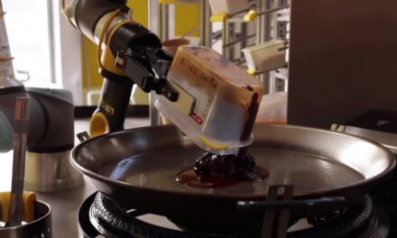 Exotic-Cuisine Robot Chef