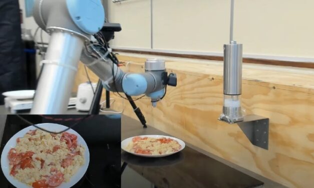 The Robot That Can Taste Salt